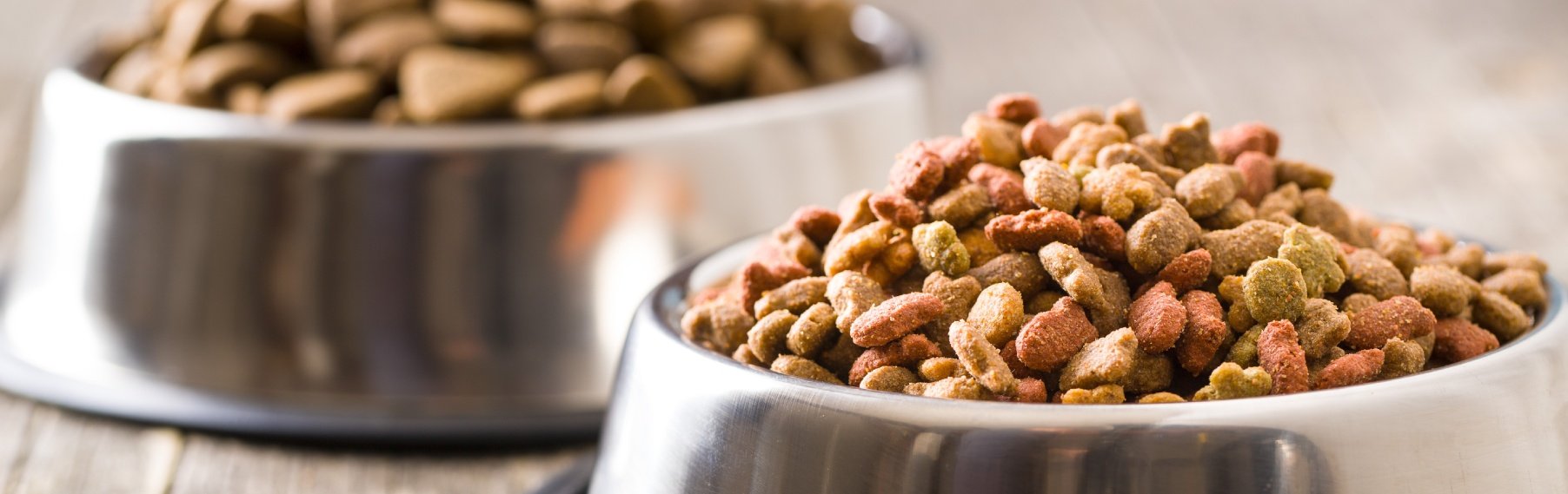 Dog & Cat Food