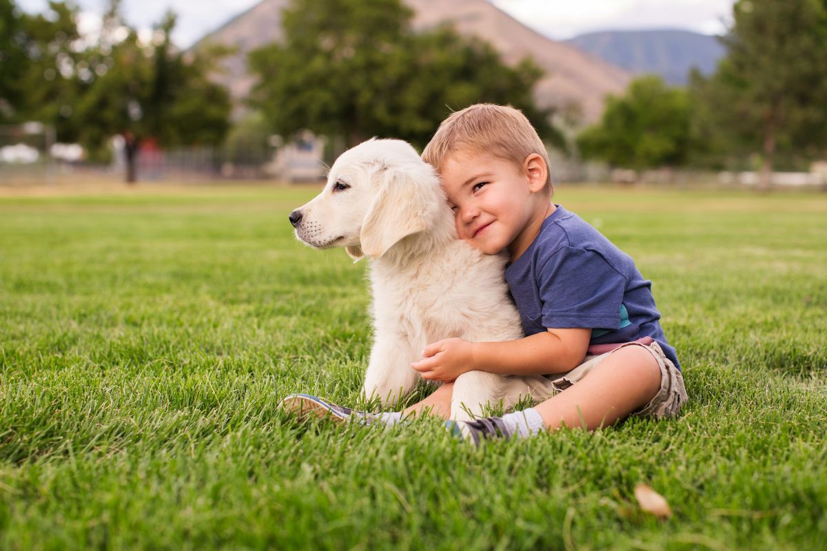 Petland: The Trusted Choice for Ethically Bred Puppies and Your Family’s Next Companion